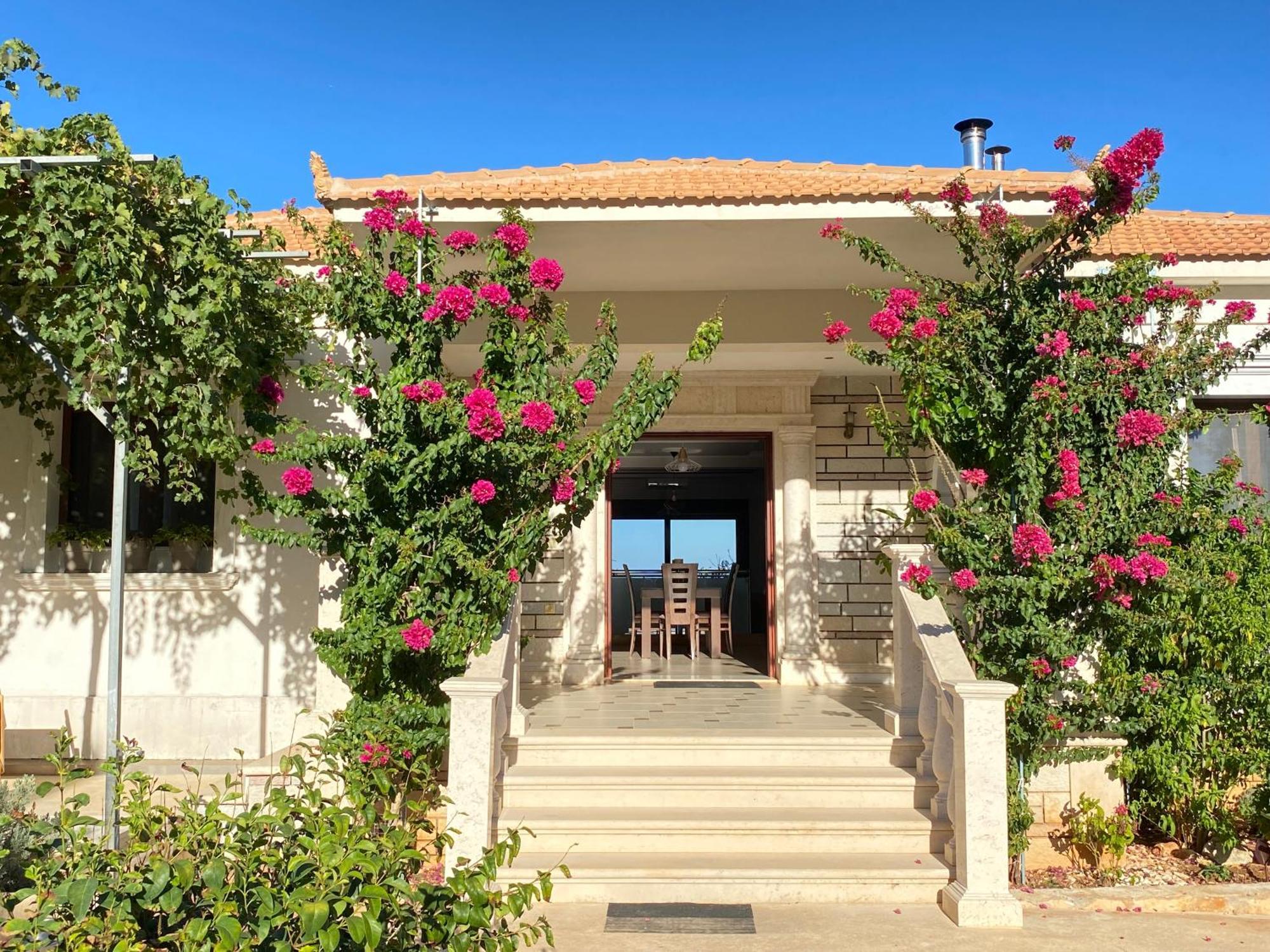 Villa Serenity Agia Marina  Exteriér fotografie