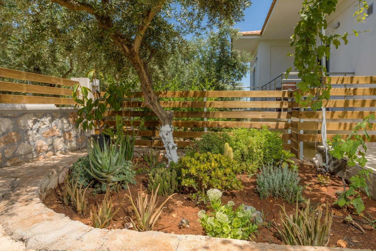Villa Serenity Agia Marina  Exteriér fotografie